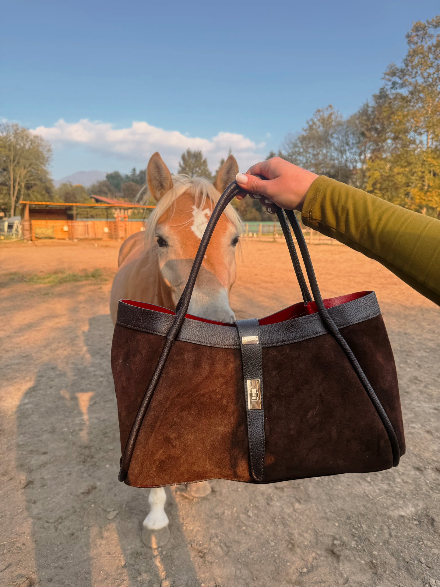 Austin Bag Testa di moro