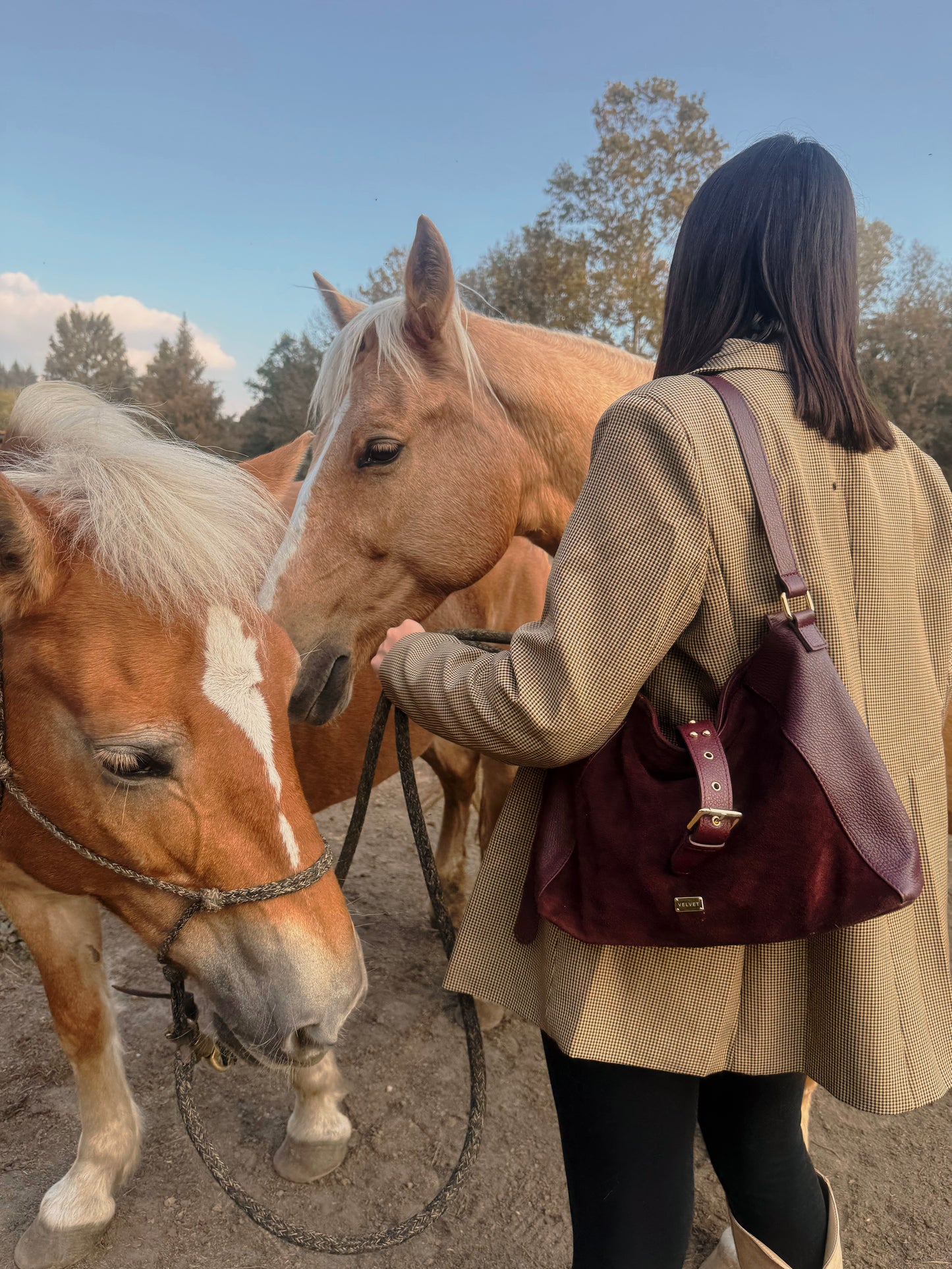 Harper Bag Vinaccia